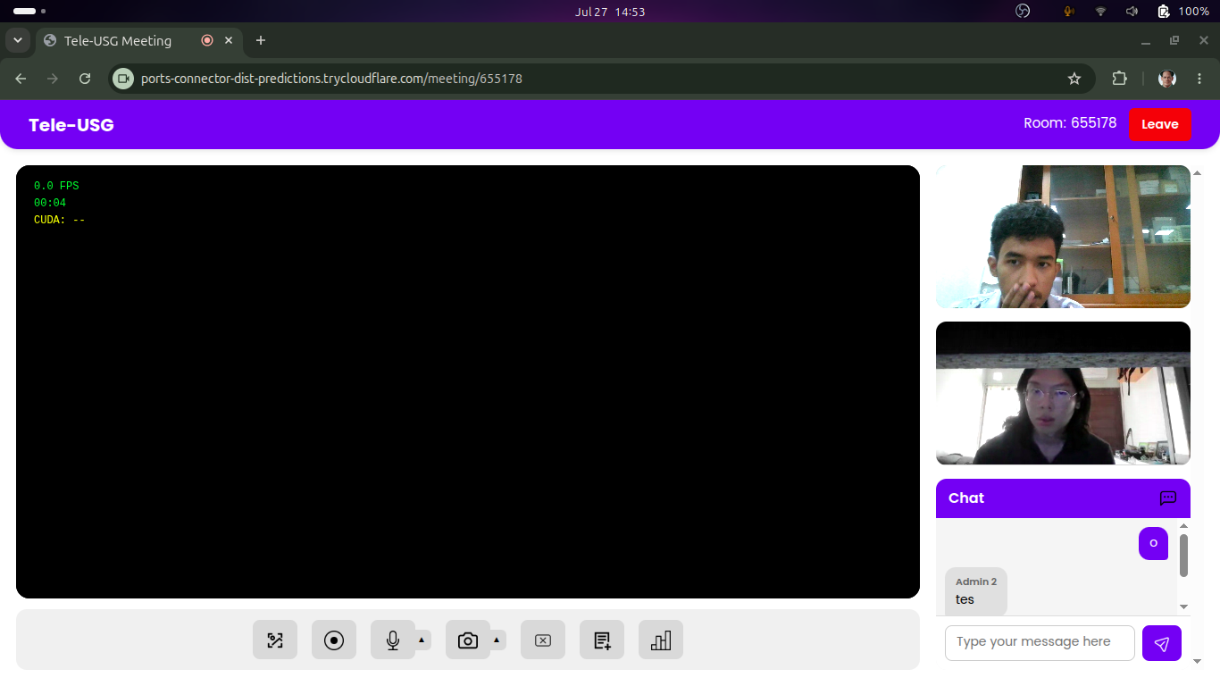 TeleUSG System Interface